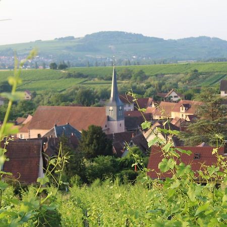 A L'Oree Des Vignes, Superbe Logement De 80 M2 Wangen Exteriér fotografie
