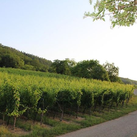 A L'Oree Des Vignes, Superbe Logement De 80 M2 Wangen Exteriér fotografie