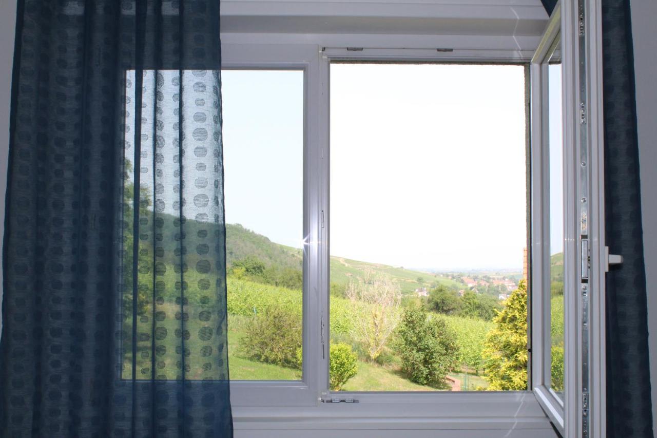 A L'Oree Des Vignes, Superbe Logement De 80 M2 Wangen Exteriér fotografie