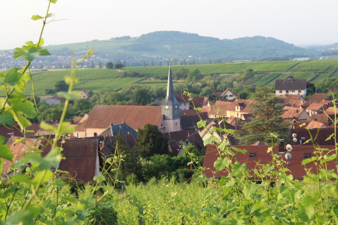 A L'Oree Des Vignes, Superbe Logement De 80 M2 Wangen Exteriér fotografie