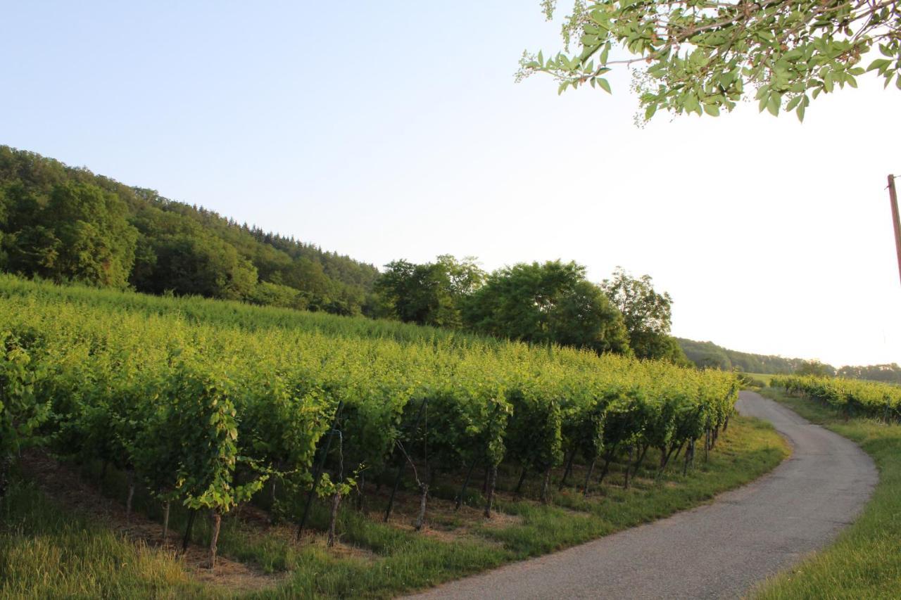 A L'Oree Des Vignes, Superbe Logement De 80 M2 Wangen Exteriér fotografie